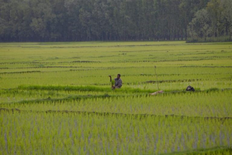 MP Trader’s House Auctioned, Land Attached Under New Agri Laws for Failing to Pay Rs 40L to Farmers