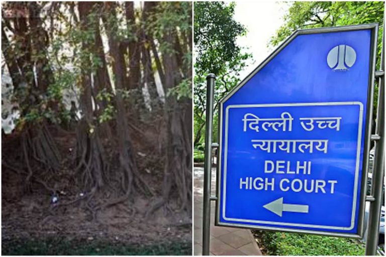 Delhi HC Stays CIC Orders to Disclose Details of Release, Utilisation of MPLADS Fund