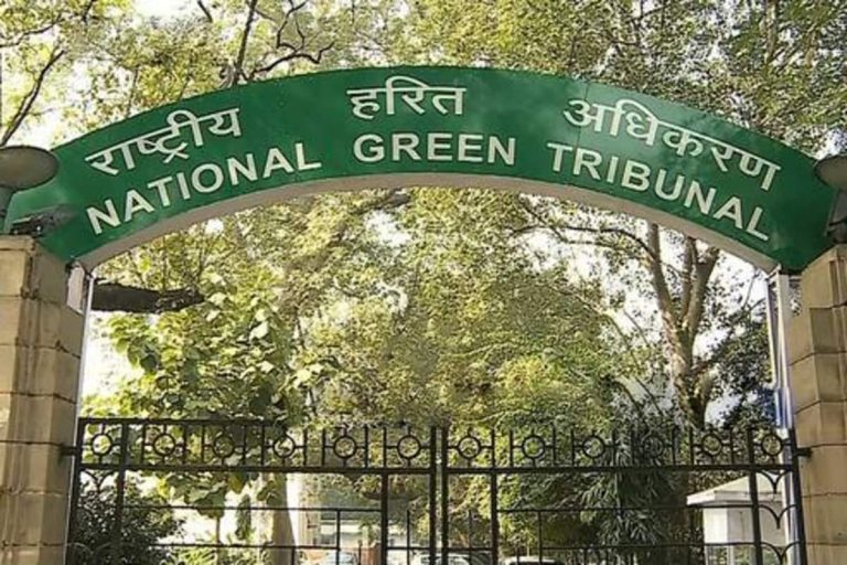 Gas Leak in AP Unit Operational Negligence, Says NGT; Directs Safety Audit of Pharma Units
