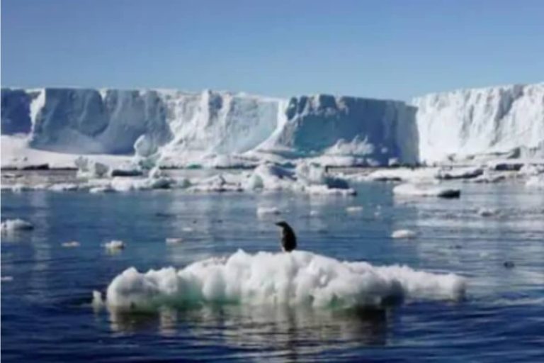 World Carbon Dioxide Emissions Drop 7% in Pandemic-hit 2020