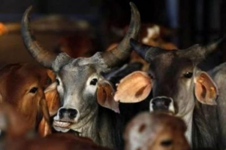 Karnataka Beef Ban: Goa Traders Risk Losing Rs 1 Crore Daily, Archdiocese Seeks CM’s Intervention