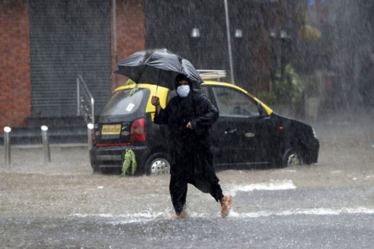 Rains Lash Parts of Punjab, Haryana; Fog Reduces Visibility