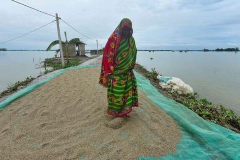 Gujarat Govt to Compensate Farmers for Crop Loss Due to Rains: CM Vijay Rupani