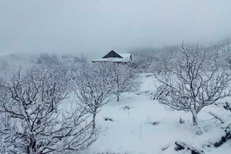 Keylong in Himachal Pradesh Shivers at Minus 12.1 Degrees Celsius