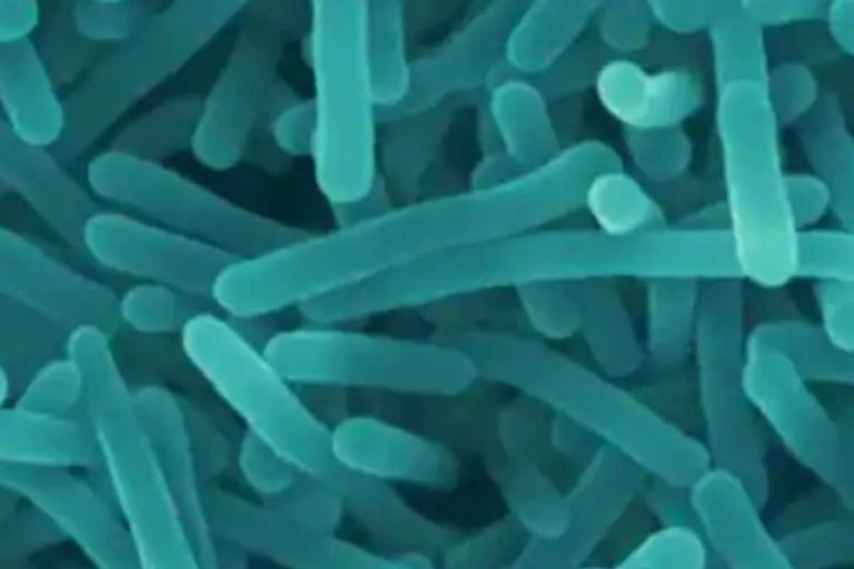 11-year-old Boy Dies of Shigella, 6 Affected in Kerala’s Kozhikode