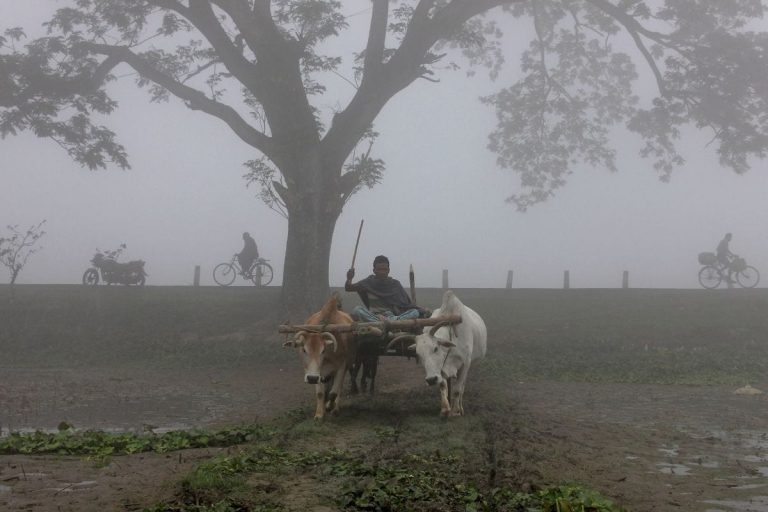 Mercury Below 5C at Many Places in North India; IMD Forecasts Cold Wave This Week