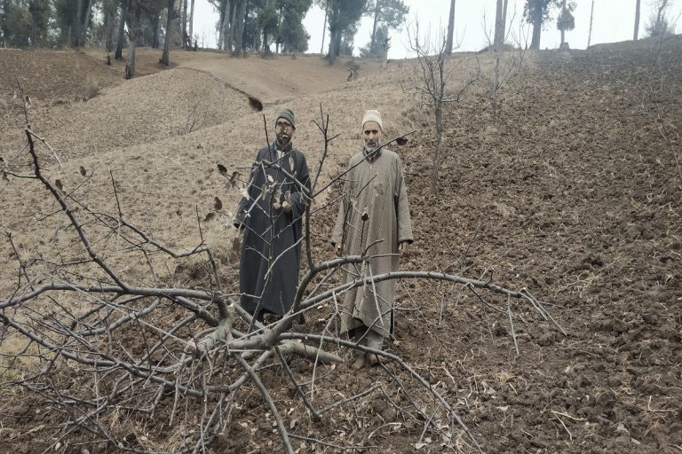 Forest Dwellers Cry Foul as Jammu & Kashmir Govt Fells Trees on Land Held by Them Since Generations