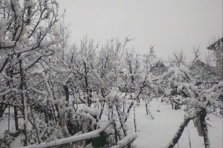 Dense Fog Disrupts Flight Operations in Jammu After Snowfall