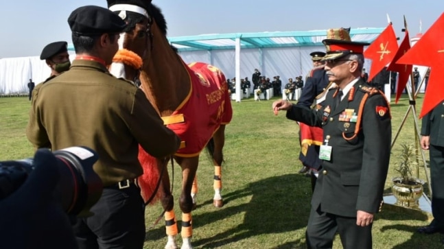 In a rare feat, Indian Army horse awarded Chief’s commendation