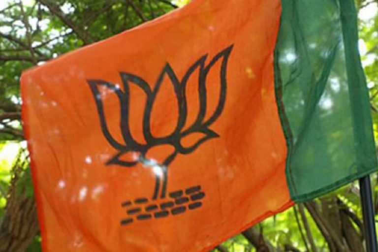 BJP MLA Accuses Party MP Virendra Mast’s Kin of Involvement in Land Grabbing