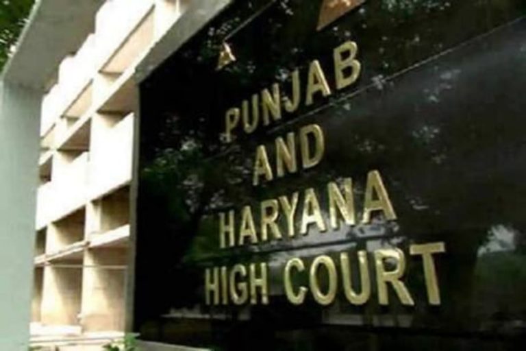 Muslim Girl Can Marry Anyone on Attaining Puberty, Rules Punjab and Haryana HC