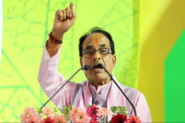 Stones Thrown During Ram Temple Fund Collection Drive, CM Shivraj Mulls Strict Law Against Pelters