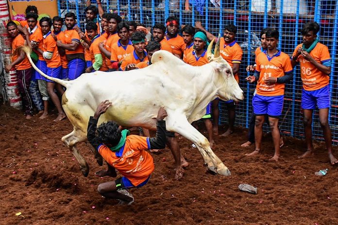 Cases Over 'Jallikatttu' Protests Will Be Withdrawn, Says TN CM Palaniswami