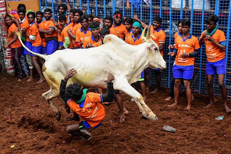 Cases Over ‘Jallikatttu’ Protests Will Be Withdrawn, Says TN CM Palaniswami