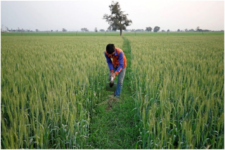 Moving to Digital Age, Madhya Pradesh Farmers Can Book Fertilisers Online Soon