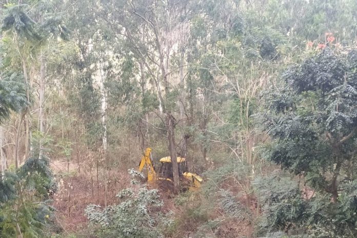 After Citizen Protests, Karnataka Govt Defers Decision to Build Tree Park in Bengaluru's Turahalli Forest