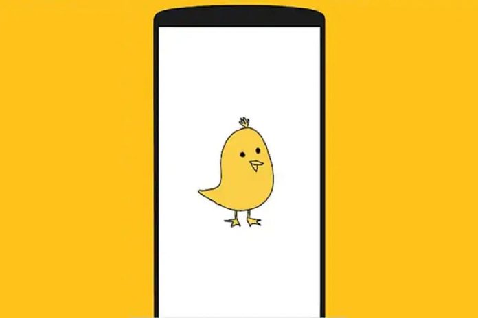 The Early Bird: Koo Founder on Birth and Naming of India's Fast-Growing Twitter Alternative