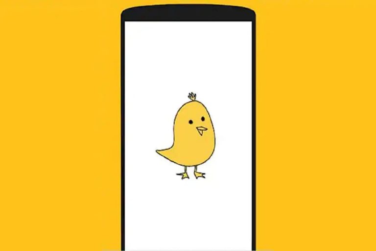 The Early Bird: Koo Founder on Birth and Naming of India’s Fast-Growing Twitter Alternative