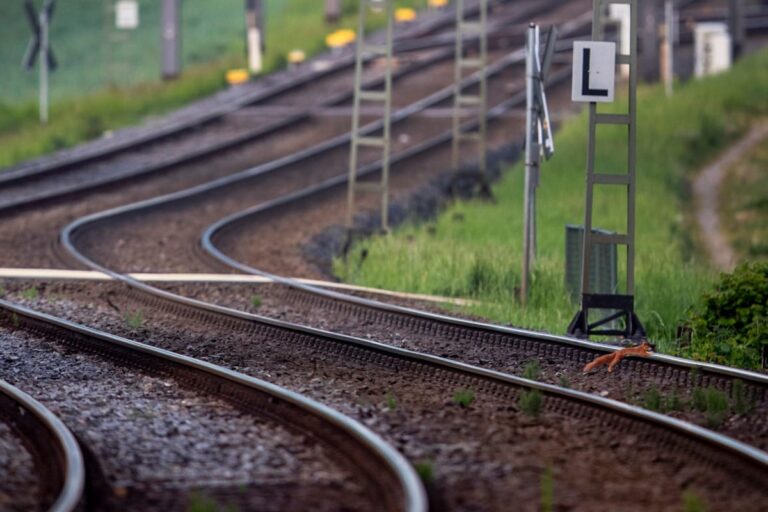 RPF Constable Dies Trying to Save Woman from Incoming Train in UP’s Kaushambi