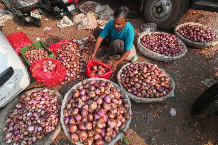 Govt to Boost Buffer Stock of Onion by 100 per cent to Avert Price Rise of Kitchen Staple