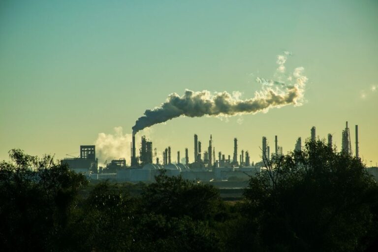 India Baulks at Carbon Neutral Target as Pressure Grows: Report