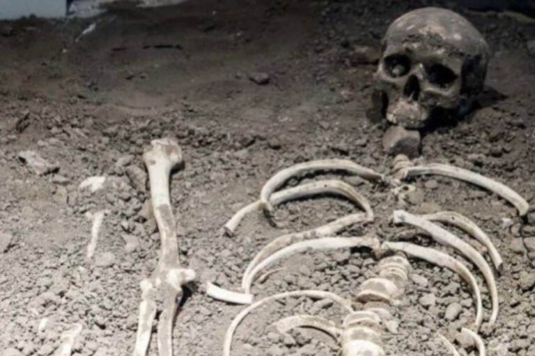 Odisha Cop Suspended After Skeleton Found in Seized Car