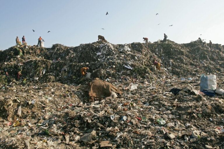 Madras HC to Initiate Criminal Proceedings Against Civic Chiefs over Manual Scavenging Deaths