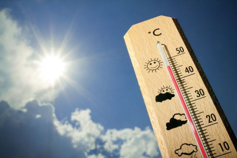 Severe Heatwave in Delhi, Highest Temperature in March Since 1945, Says IMD; Yellow Alert Issued in MP