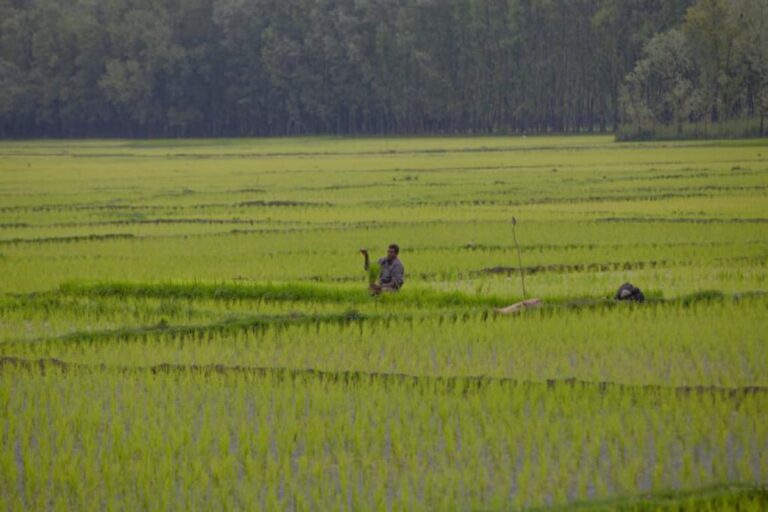 Letter on Bonded Labourers in Punjab Border Villages Not Motivated: MHA Clarifies After Row