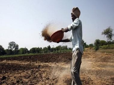 Centre directs fertiliser companies not to hike MRP on non-urea products, says ‘farmers are priority’