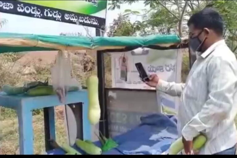 Hyderabad Village’s ‘Honesty Vegetable’ Sets Example, Operates Sans Vendor as Customers Drop Money in the Box