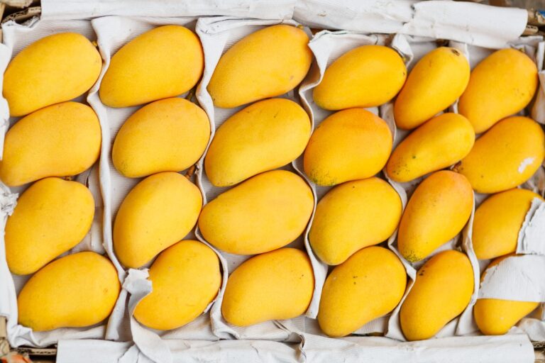 ​Season’s first ‘Mango Special’ Train Arrives in Delhi from Andhra Pradesh; Check Details
