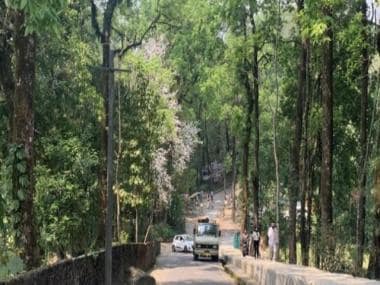 New study finds Sikkim’s urban sacred groves mitigate double the carbon compared to a natural rural forest