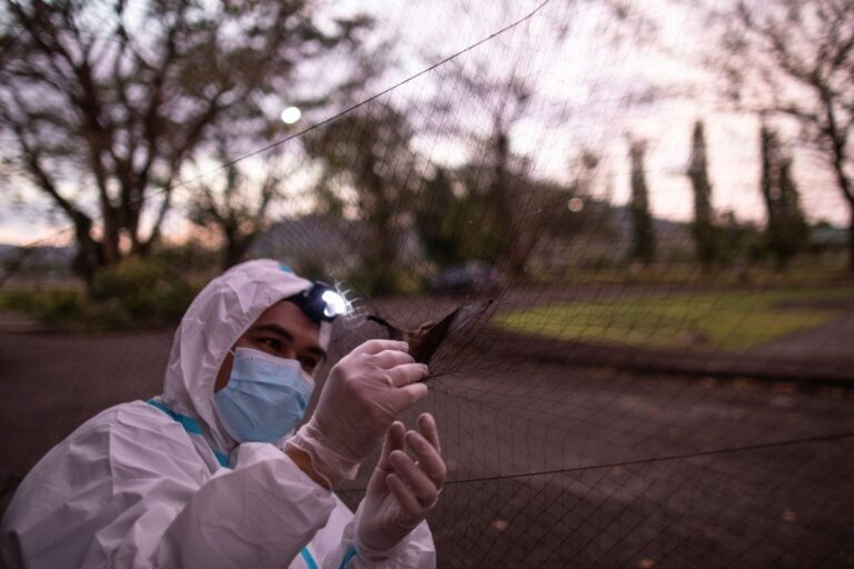 Vietnam Discovers New Virus Variant, Hybrid of Indian & British Strains