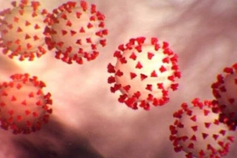 New Anti-Covid Drug That Will Reduce Oxygen Dependence Will Be Available in a Month: DRDO Scientist