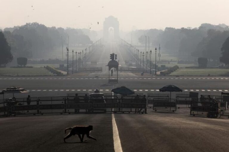 Centre’s Covid-19 Task Force Members and AIIMS Chief Push for National Lockdown: Report