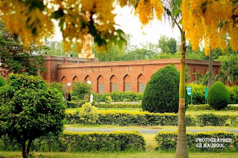 Alarmed by Deaths of Teachers, AMU VC Writes to ICMR for Study of Covid-19 Variant