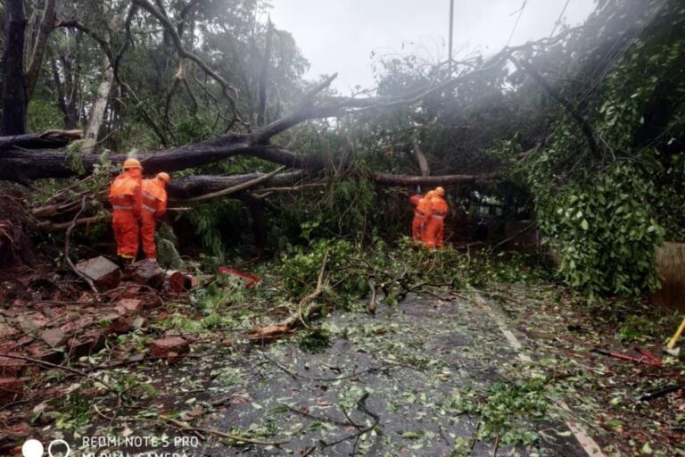 Cyclone Tauktae: Overnight Showers, High Speed Winds Lash Mumbai, Gujarat on Alert