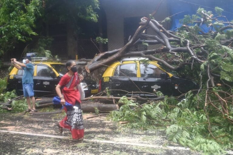 Damaged by Cyclone Tauktae, Power Supply To Be Restored in Entire Goa by May 19