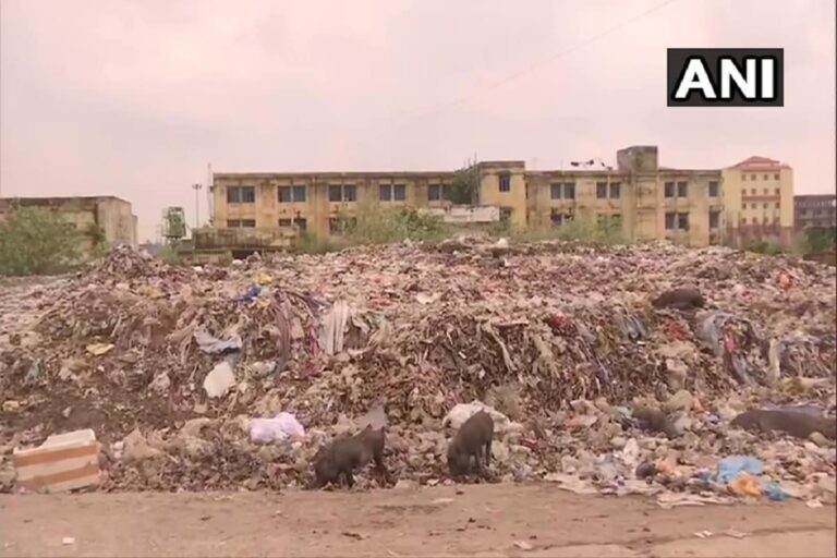 Bihar’s Oldest Hospital Struggles to Maintain Basic Hygiene Amid Covid; Doctors, Patients Shoo Away Pigs