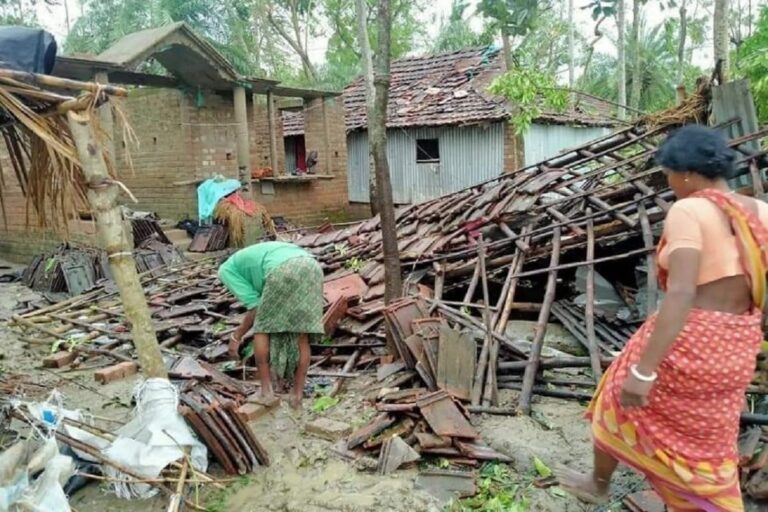 What Happened to Trees Uprooted Trees in Cyclone Amphan, Asks Mamata