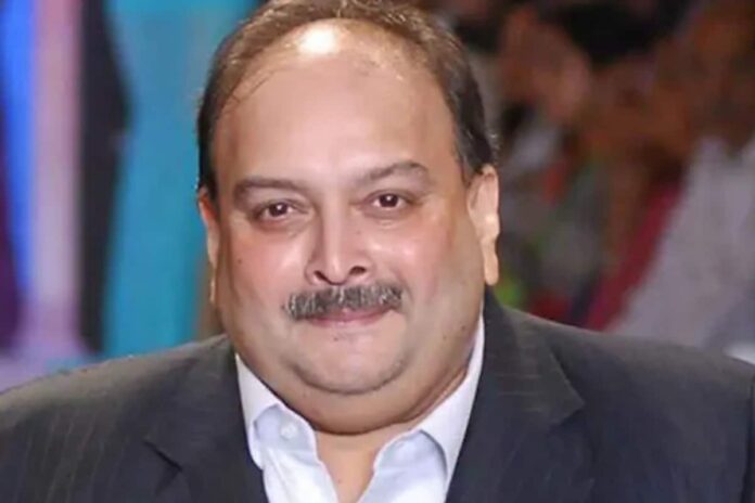 Mystery Woman Not 'Femme Fatale' as Shown on TV, Husband Was Terrified He Would be Killed: Choksi's Wife