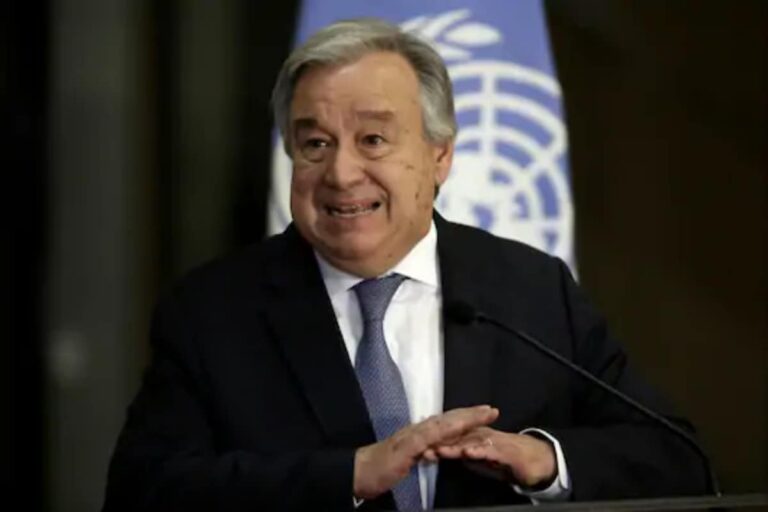 Commend India & Sweden for Their Work with Leadership Group for Industry Transition: UN Chief