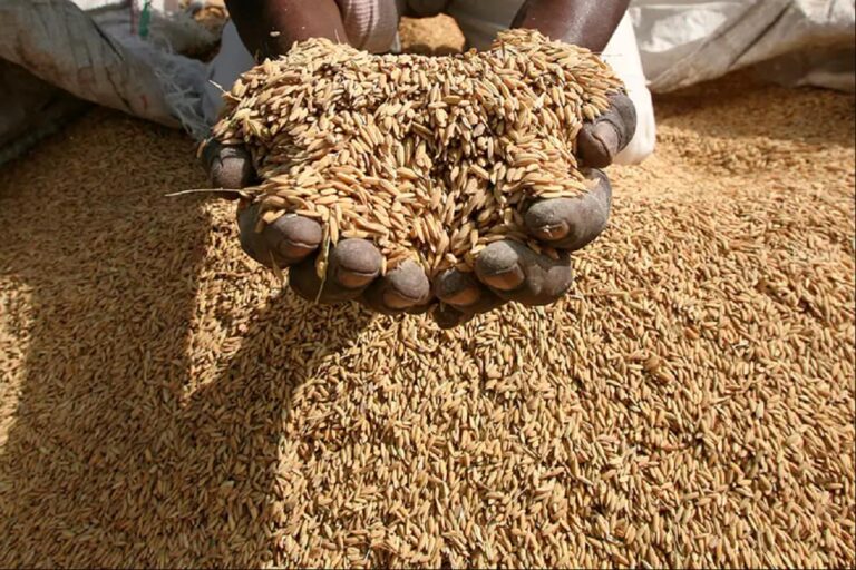 Tribal Woman in Maha Returns Child Bravery Award as She Can’t Get Foodgrains at PDS Shop
