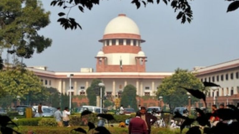 Riots Case: Delhi Police Says SC Gave Wider Interim Relief Than a Stay Order on HC Bail Verdict