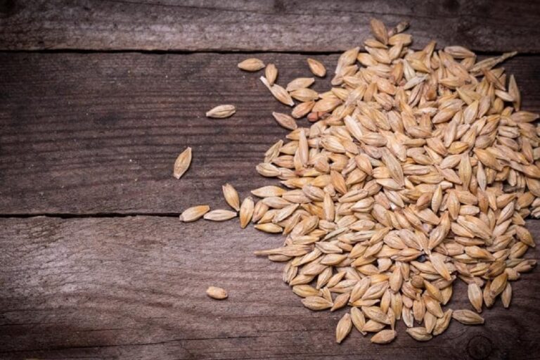 Amid Months-long Farmers Stir, Govt Buys Record 418.47 Lakh Tonnes of Wheat at MSP for Rs 82,648 Cr
