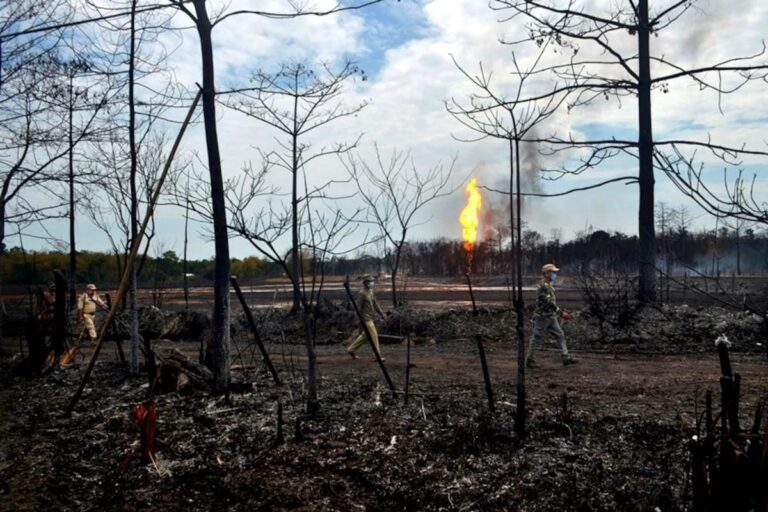 Baghjan Fire Caused Loss of Rs 25,000 Cr, Destroyed 55% Biodiversity in Area: Report
