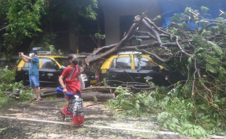 Landslides, Wall and Bridge Collapse Incidents in Thane, Palghar Amid Heavy Rains