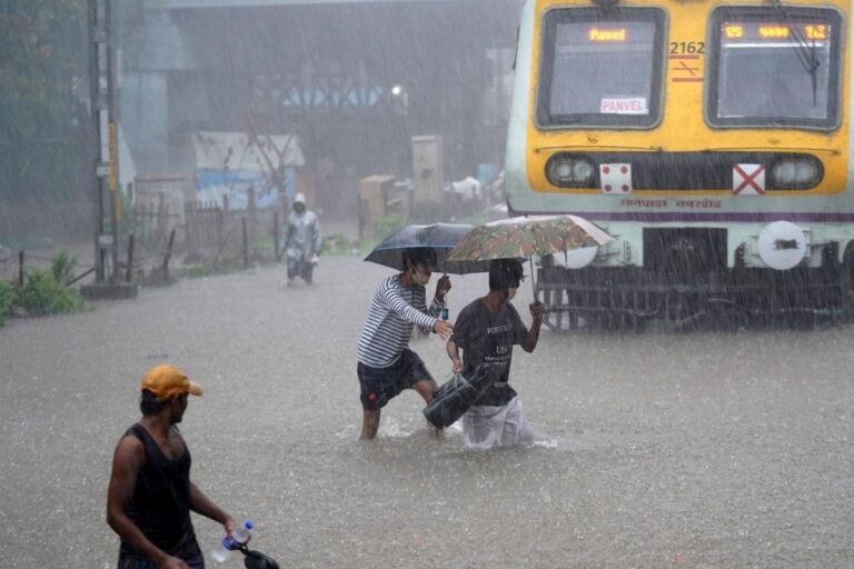 Amid Monsoon Woes, BMC Warns Mumbaikars of Spike in Leptospirosis Cases. Here’s What it Means