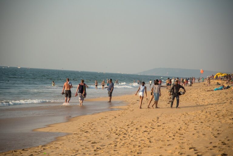 Coronavirus Curfew in Goa Extended Till June 28; Allows Shops in Malls, Fish Market to Open
